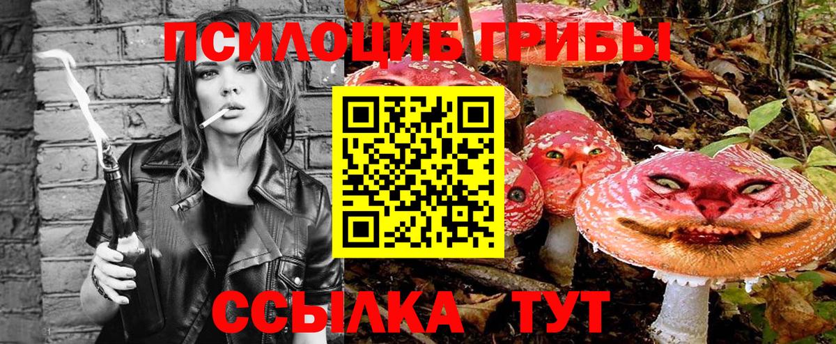 Галлюциногенные грибы Psilocybe Благодарный